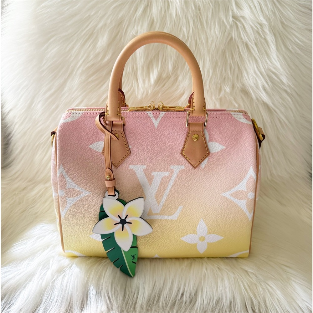 NIB Louis Vuitton Speedy 25 By The Pool Bandouliere Crossbody Special Edition - Picture 3 of 16